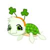 Clover Turtle