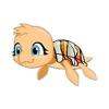 Clownfish Turtle