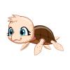 Shellie the Turtle