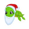 Teddy the Santa Turtle