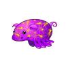 Firework Sea Pig