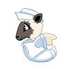 Sailor Sheep