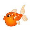 Color Change Bubblecheek Goldfish