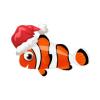 Santa Clownfish