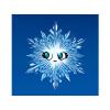 Snowie the Snowflake Urchin