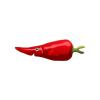 Red Chili Pepper Fish