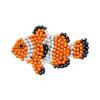 Beaded Clownfish