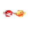 Orange Kissing Fish