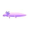 Purple Axolotl