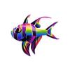 Rainbowmorph Banggai Cardinalfish