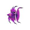 Violet Dragontail Betta