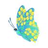 Aqua Beach Butterfly