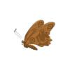 Brown Egyptian Butterfly