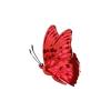 Scarlet Majesty Butterfly