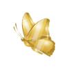 Gold Metallic Butterfly
