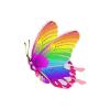 Skirted Rainbow Butterfly