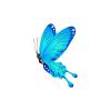 Sky Blue Butterfly