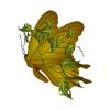 Thorny Vine Butterfly