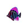 Neon Pinkfin Butterflyfish