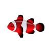 Red n White Clownfish