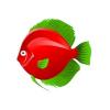 Greenfin Discus