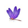 Purple Crystal Dragonfly