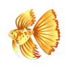 Goldspot Dreamfish