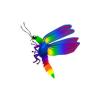 Rainbow Firefly