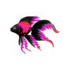 Pink Patch Veiltail