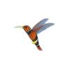 Butterfly Hummingbird