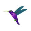 Glowing Purple Hummingbird