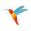 Orange Color Change Hummingbird
