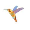 Orange Parrotfish Hummingbird
