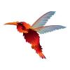 Red Autumn Hummingbird