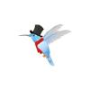 Top Hat Hummingbird