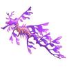 Violet Leafy Seadragon