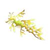 Yellow Leafy Sea Dragon