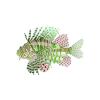 Mint Lioinfish
