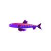 Purple Tiger Lizardfish