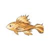 Golden Magic Fish