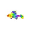 Rainbow Magic Fish