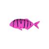 Pink Mini Pilotfish