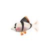 Tiny Tiger-Barb Fish