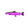 Fuchsia Salmon