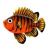 Soldierfish