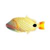 Undulated Triggerfish