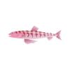 Pink-striped Lizardfish