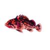 Black and Pink Rockfish