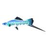 Blue Dart Swordtail