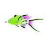 Green Lyretail Hogfish